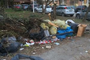 Dezastru în Complexul Studenţesc. Poliţia Locală încearcă să cureţe zona