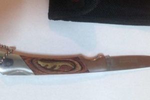 La TRIBUNAL, cu BRICEAGU-N BUZUNAR!