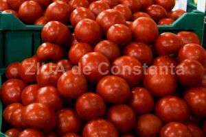 Ajutoare pentru producatorii de tomate si usturoi. Iata cum pot beneficia constantenii!