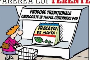 Părerea lui Terente