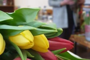 ACUM, ULTIMELE PREGĂTIRI PENTRU EVENIMENTUL „FEMINA”