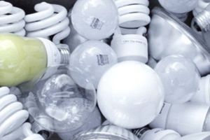 Jucându-ne, reciclăm! “Grădinarii” din Oradea s-au întrecut în colectarea selectivă a deşeurilor