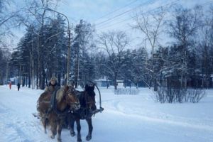 „În Sirete încă earnă”