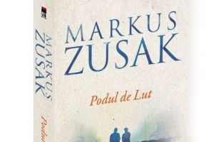 PODUL DE LUT - drama celor CINCI FRAȚI CARE SE CRESC SINGURI, după ce şi-au pierdut mama, iar tatăl i-a părăsit