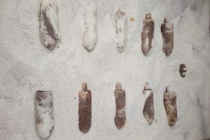 Proiectile din Al Doilea Razboi Mondial, descoperite intr-o padure