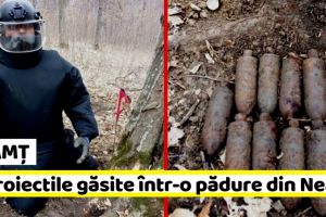 NEAMȚ: 11 proiectile găsite într-o pădure din Neamţ (FOTO)