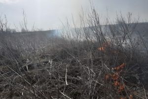 Incendiu in Sarighiol de Deal, judetul Tulcea. Pompierii au intervenit pentru a proteja locuintele din apropiere (galerie foto) 