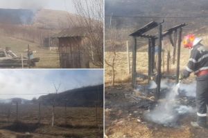 FOTO / VIDEO | UPDATE INCENDIU de vegetaţie uscată la Șard. Pompierii intervin