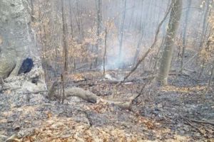 FOTO: Incendii în tot judeţul! Misiuni de foc pentru pompierii vrânceni