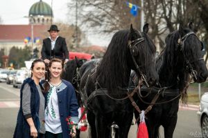 FOTOGALERIE. Acţiune inedită de 8 Martie, la Satu Mare. Flori din trăsură pentru sătmărence