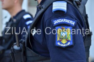 Un mistret a provocat panica intr-o localitate din Prahova. Animalul a atacat si un echipaj de jandarmi