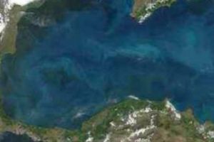 Alertă! Dispariţia din Marea Neagră care a mobilizat Forţele Navale. Misiune de căutare masivă