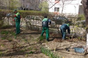 Campanie de curăţenie iniţiată de Termo – Service S.A.