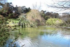 Descoperire macabră. Două surori gemene, de origine română, au fost găsite moarte într-un parc din Paris