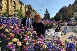 Robu colorează Timişoara: decide conceptul Timfloralis şi culorile blocurilor reabilitate