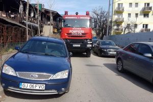 Maşină de pompieri blocată de un bizon, în Complexul Studenţesc din Timişoara