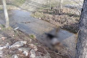 Un bărbat de 46 de ani, găsit mort într-o vale din satul Corniţel