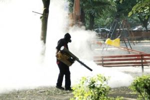 Firma care face dezinsecţie în Timişoara: Suntem cei mai performanţi din România