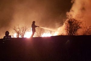 Incendiu de amploare la iesire din Mineri, judetul Tulcea. Zeci de hectare afectate. Pompierii se lupta cu flacarile (galerie foto)