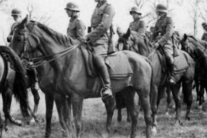 Hitler dorea să creeze nu doar Omul Nou, ci şi Calul Nou