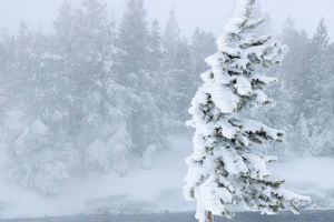 Iarna nu s-a terminat: COD GALBEN de vânt şi ninsori viscolite în zona muntoasă a Bihorului