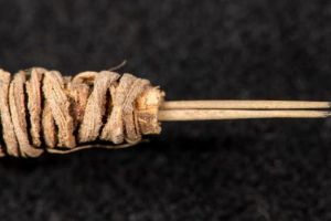 Instrument de făcut tatuaje vechi de 2.000 de ani, descoperit de un arheolog în America de Nord