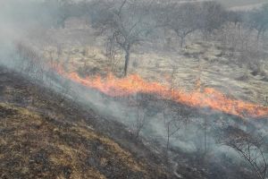 Pompierii, puşi la grea încercare de zecile de incendii de vegetaţie uscată, în câteva zile