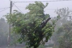 Alertă meteo! Viscolul loveşte România. Ce zone sunt afectate