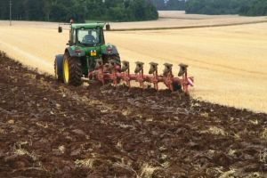 Bani pentru fermierii care angajează tineri