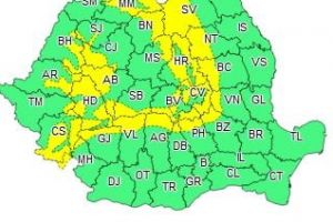 Gata cu primavara? Cod galben de vant si ninsori viscolite in 27 de judete.
