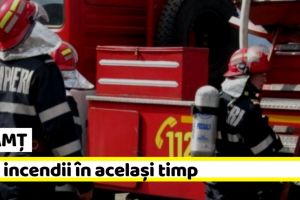 NEAMȚ: Trei incendii în acelaşi timp. Două de vegetaţie uscată şi unul la o secţie de tâmplărie