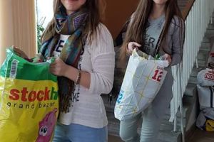 Proiectul ecoprovocare la Colegiul „I.C.Brătianu”