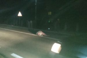 S-au ales cu picioarele rupte