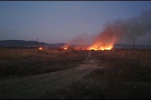 Incendii de vegetaţie pe bandă rulantă în Argeş