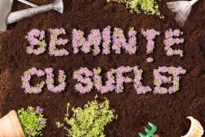 23 MARTIE: “Seminţe cu suflet”, în Teiuş. Se donează seminţe pentru salvarea soiurilor româneşti de legume şi fructe