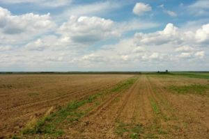 Submăsura 16.1, prelungită de MADR