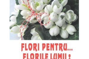 Un nou spectacol, semnat ȘPA Târgu-Jiu