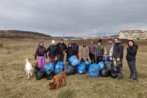 Floreşti: Au adunat saci cu deşeuri de pe un câmp într-o acţiune de ”muncă patriotică” - FOTO