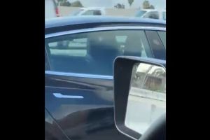 Șofer surprins dormind la 120 km pe oră. Maşina Tesla se conduce singură - VIDEO