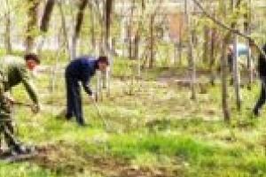 Curăţenia de primăvară se lasă cu premii, la Moldova Nouă