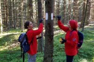 Arădenii iubitori de drumeţii sunt invitaţi la VOPSIT DE MARCAJE pe două trasee frumoase din munţii României