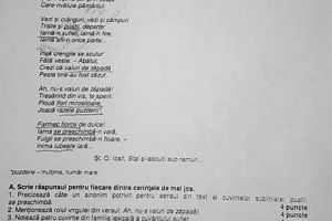 FOTO/ VIDEO: SUBIECTE simulare EVALUARE NAȚIONALĂ 2019, la limba şi literatura română, pentru elevii de clasa a VIII-a