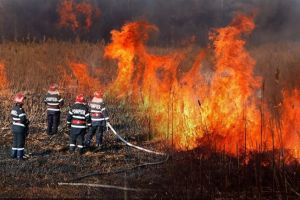 Situatia a scapat de sub control! ISU Prahova, apel catre populatie: STOP arderilor necontrolate pentru igienizarea terenurilor!