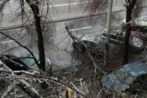 13 judeţe şi Capitala, afectate de vântul puternic. Zeci de copaci doborâţi la pământ şi autoturisme avariate