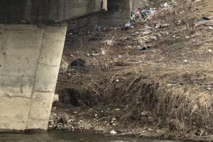 Ecologizare la Suşiţa!