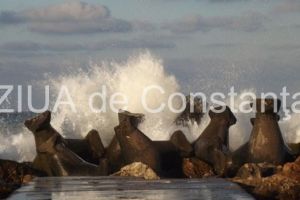 Judetele Constanta si Tulcea, sub cod galben de vant. Cand expira atentionarea meteorologilor si ce localitati sunt vizate