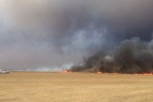 Trafic blocat pe A1 Bucureşti – Piteşti din cauza unui incendiu de vegetaţie