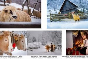 FOTO: Cinci premii pentru cursanţii Clasei de Fotografie din cadrul Centrului de Cultură „Augustin Bena” Alba