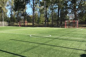 Ce spaţii verzi vor fi în noile parcuri „Lunca Argeşului”