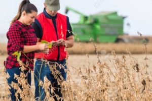 Bani de la stat pentru fermierii care angajeaă tineri